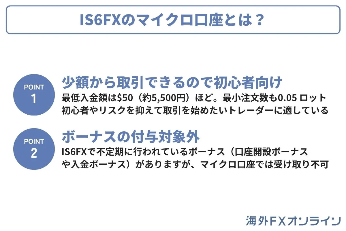総評：IS6FXのマイクロ口座とは？