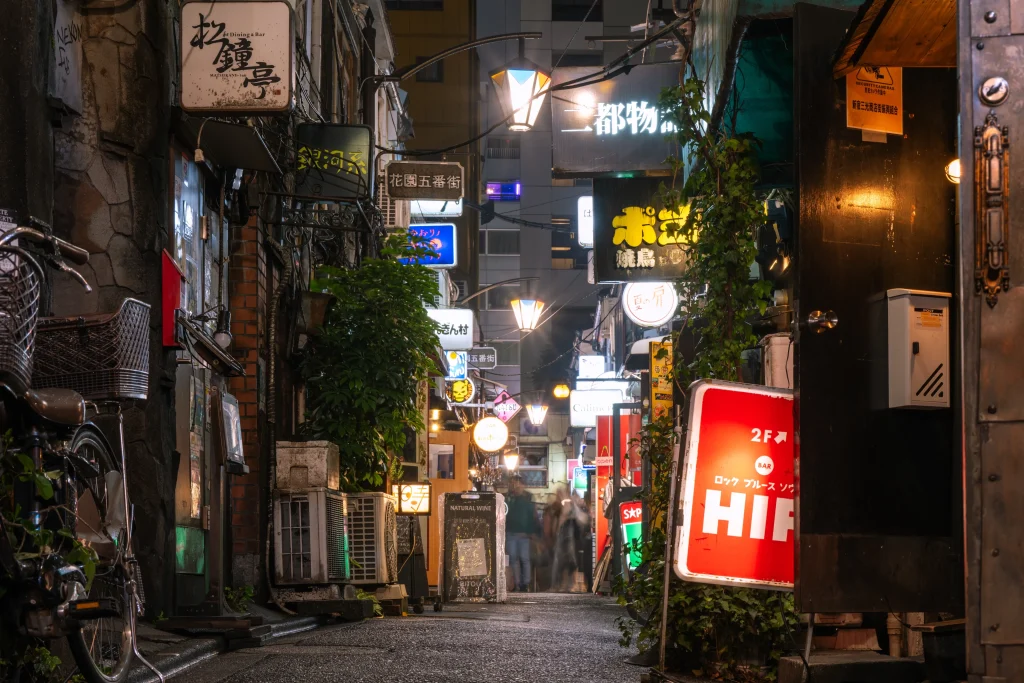 Shinjuku's alley