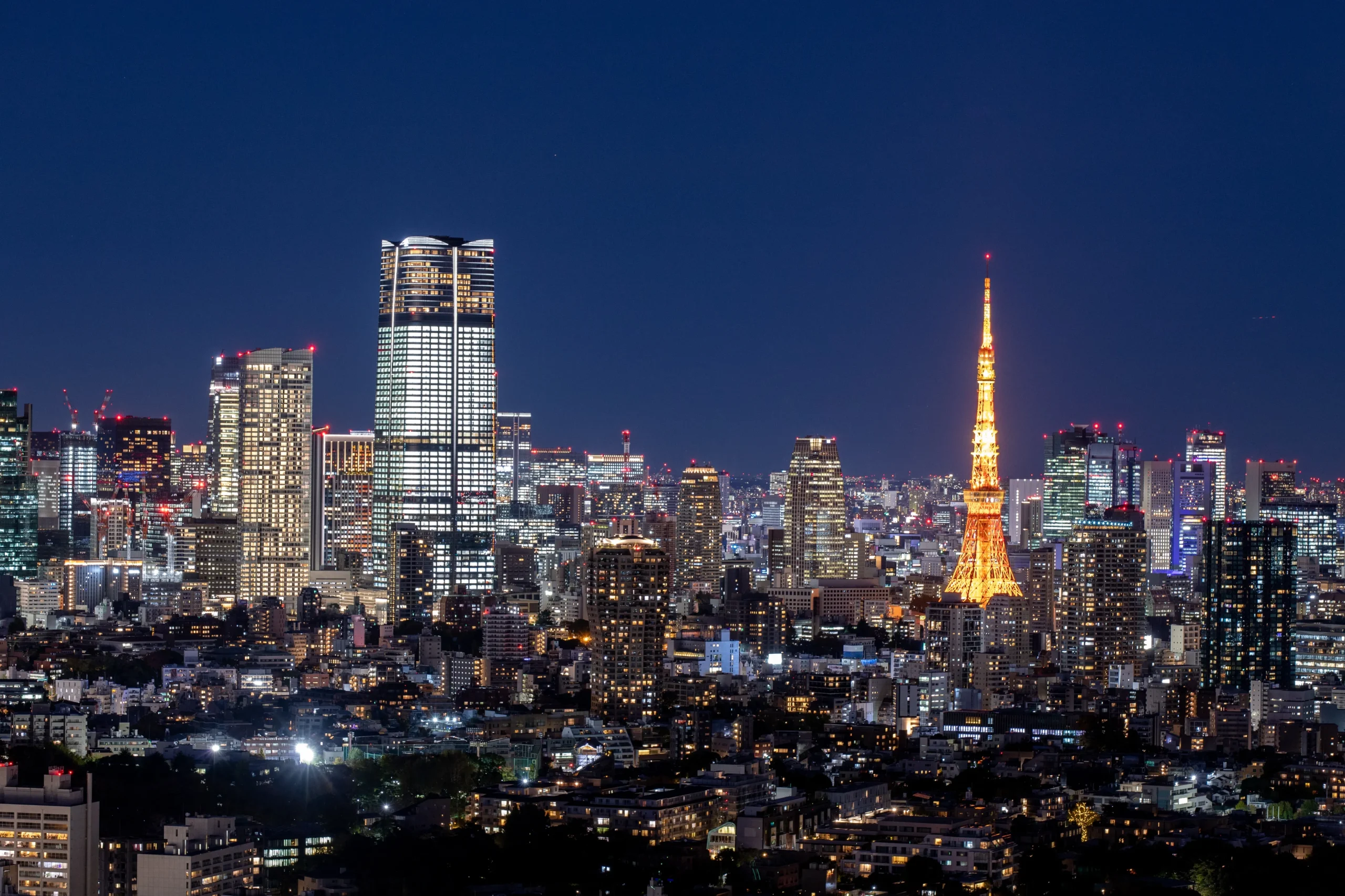 Tokyo Night Views