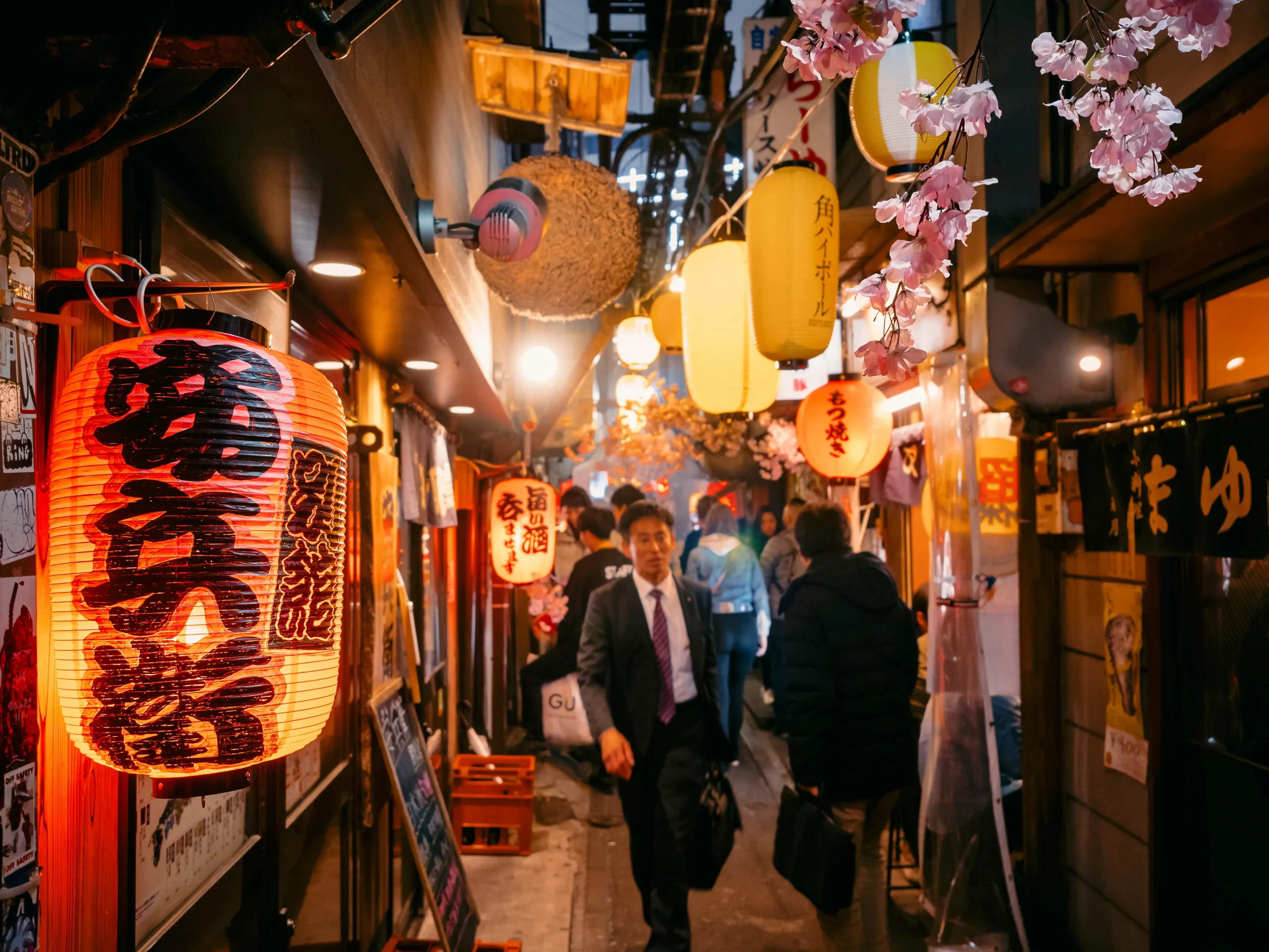 Best Yokocho in Tokyo