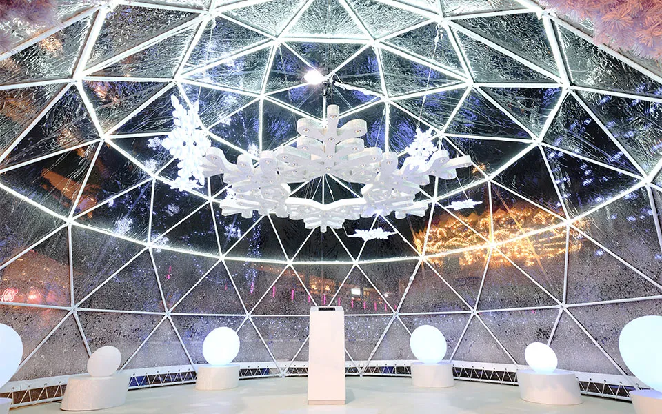 Picture of snowflake dome in Tokyo dome